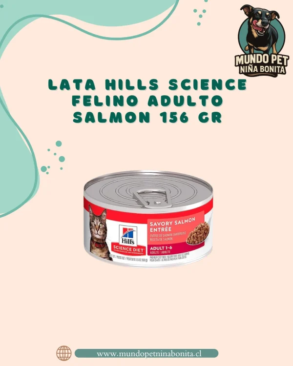 Hills science lata felino adulto salmon 156 gr