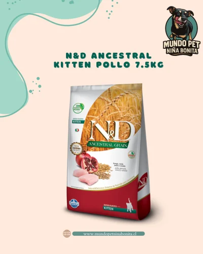 N&D ancestral kitten pollo 7.5 N&D ancestral kitten pollo 7.5kg