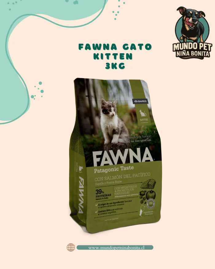 Fawna gato kitten - 3kg